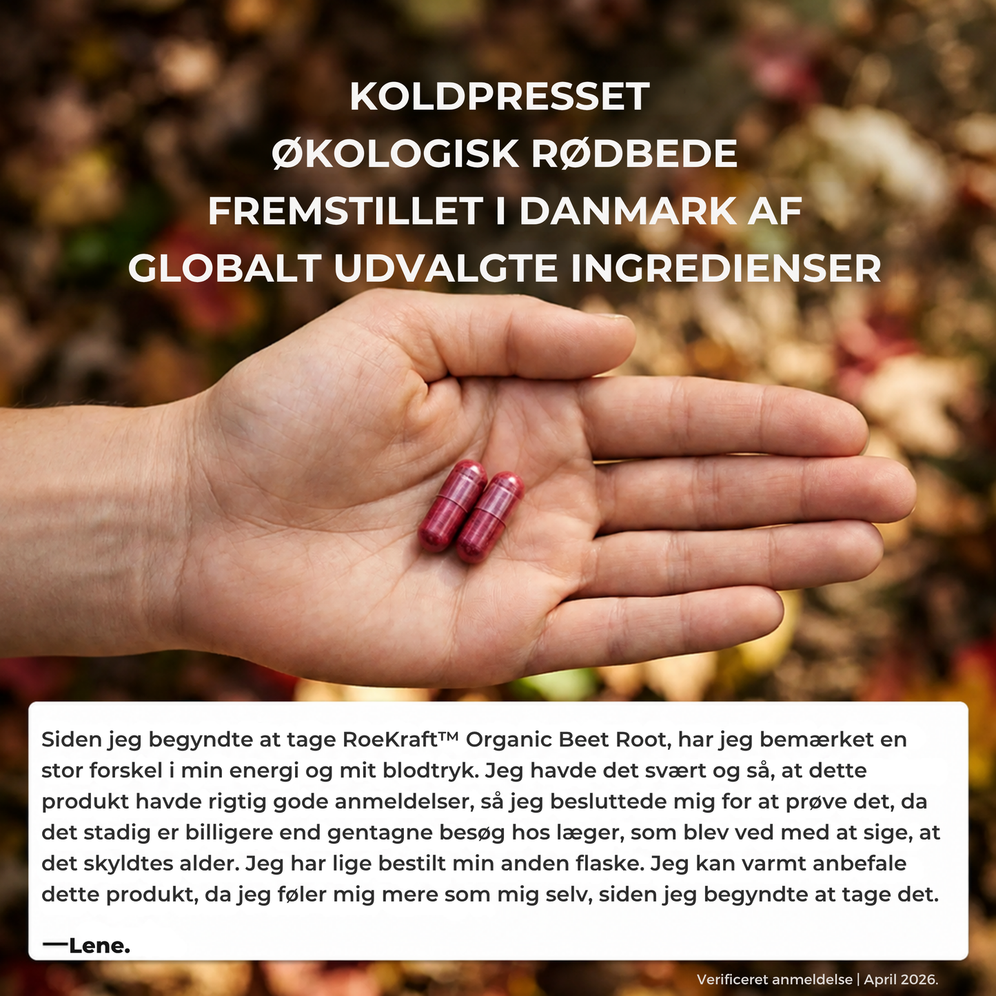 RoeKraft™ Kapsler | Støt en sund blodcirkulation med naturlige rødbedekapsler