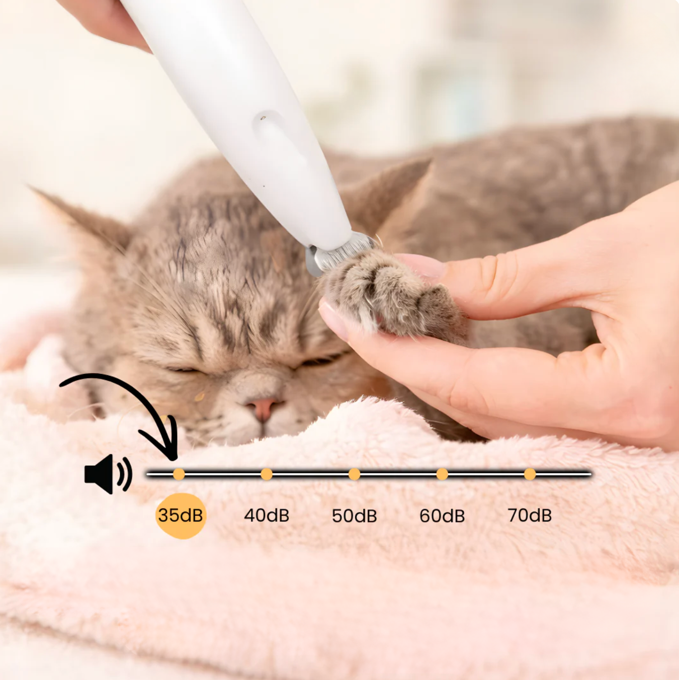 FurCare™ – Håll din katt ren och fri från obehag