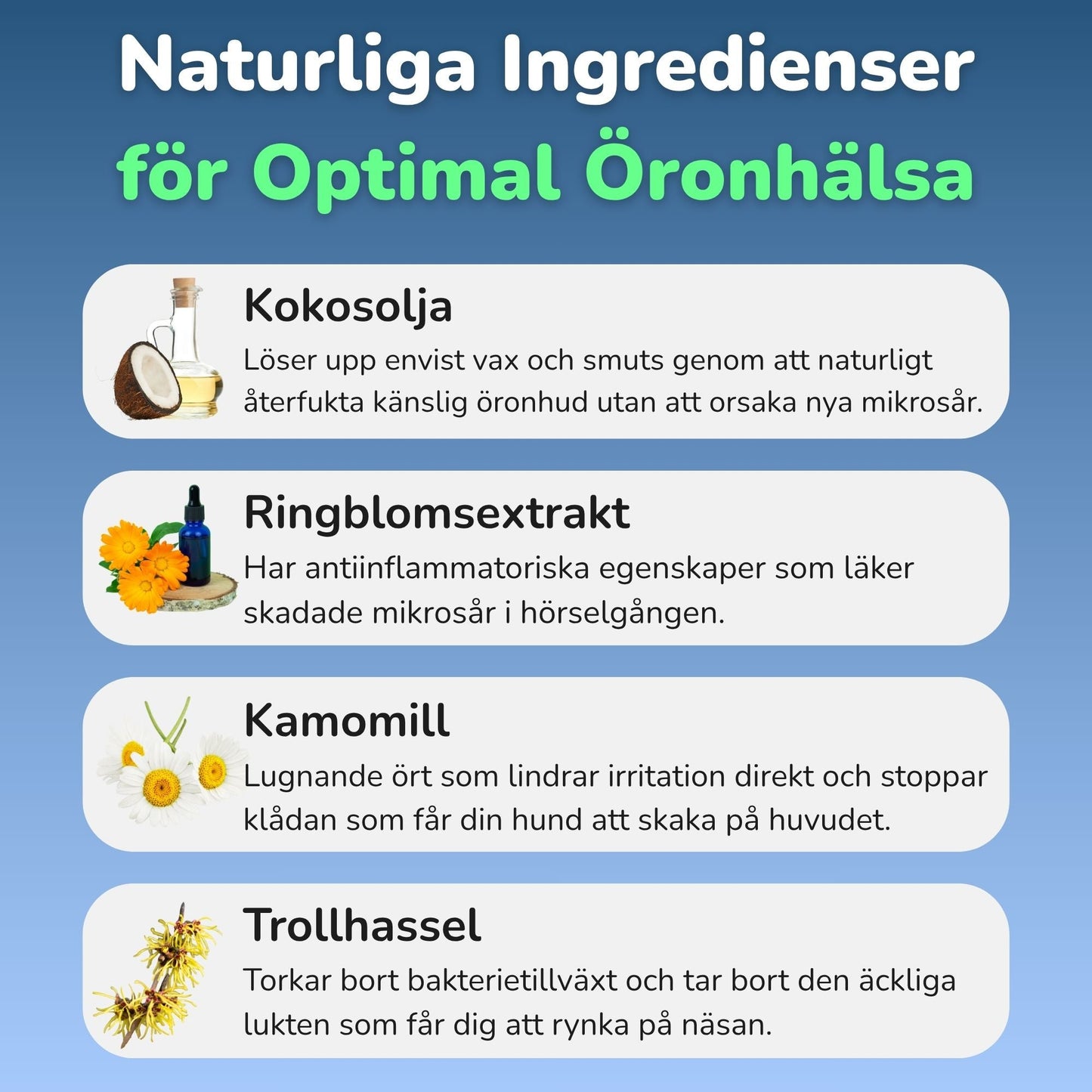 ÖraRo™ – Mild Öronrengöring för Hun