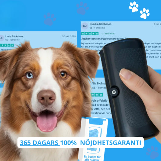 RenPäls™ – Borste som Minskar Fällning