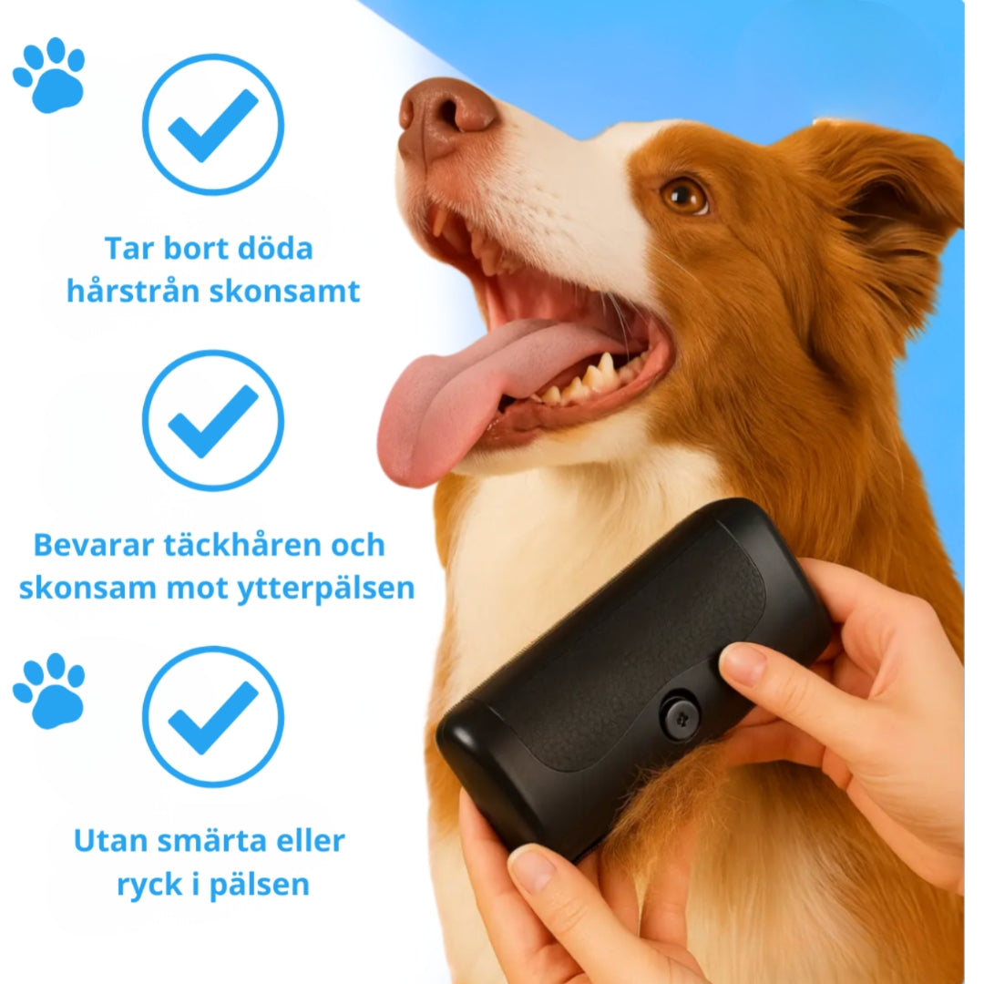 RenPäls™ – Borste som Minskar Fällning