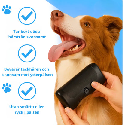 RenPäls™ – Borste som Minskar Fällning