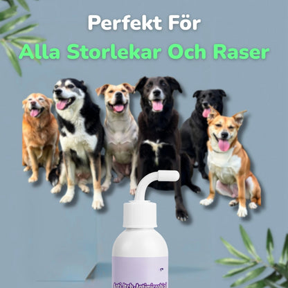 ÖraRo™ – Mild Öronrengöring för Hun
