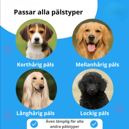 RenPäls™ – Borste som Minskar Fällning