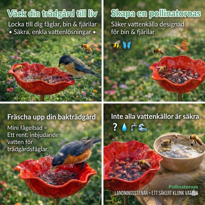 BlomKälla™ – Botanisk Vattenstation för Fåglar, Bin & Fjärilar