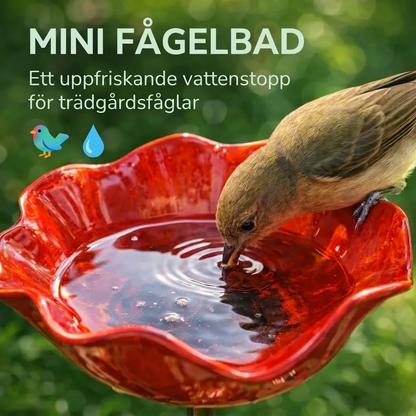 BlomKälla™ – Botanisk Vattenstation för Fåglar, Bin & Fjärilar