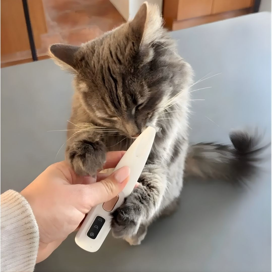 FurCare™ – Håll din katt ren och fri från obehag